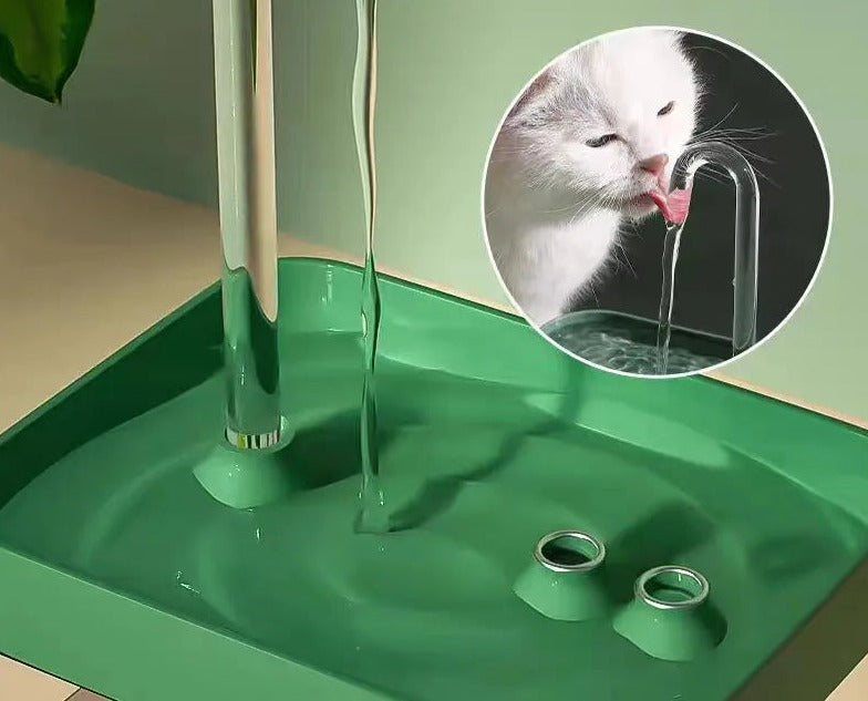 Fuente de agua para gatos con filtro USB